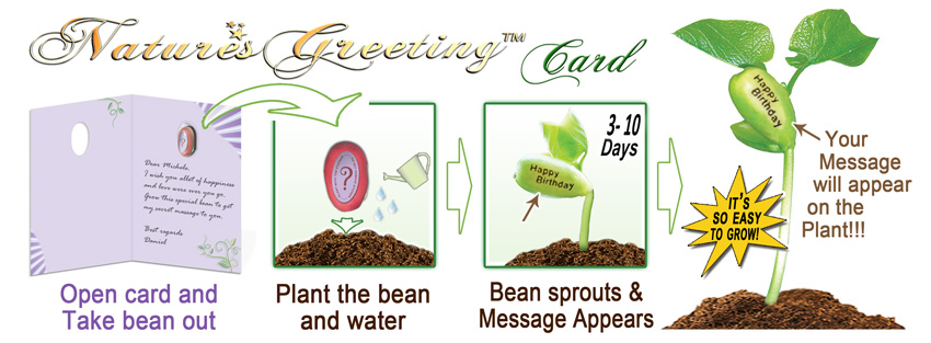 Nature's Greeting Card - Bean Growing Stages