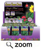 Herbs Growing Kits from Magic Plant Farms