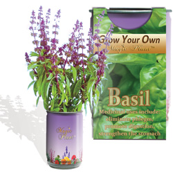 Basil Herbs Growing Kit