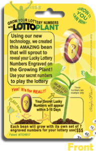 Lotto Plants Instructions