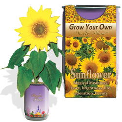 7+ Flower Grow Kit